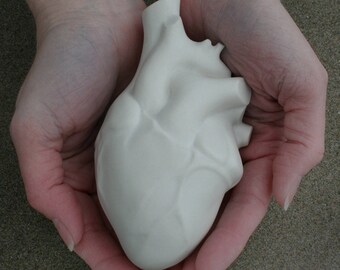 Anatomical Heart Sculpture