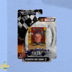 2004 Hot Wheels NASCAR "Alternative Pain Scheme" *Ricky Rudd* Air Force #21