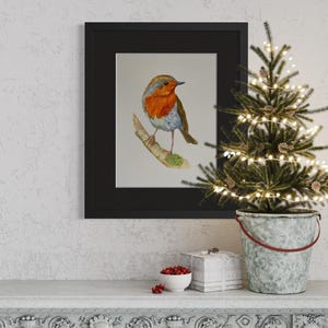 Limited edition robin print, A3 30x42cm
