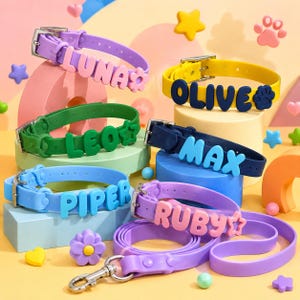 May include: A collection of six colorful silicone pet collars and one leash, each featuring raised block letters spelling names including LUNA, OLIVE, LEO, MAX, PIPER, and RUBY, with attached decorative shapes like flowers, stars, and paw prints.