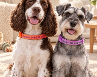以下が含まれることがあります： パーソナライズされた首輪をつけた2匹の犬。茶色と白の犬は「Chester 303-555-0123」と書かれたオレンジ色の首輪を、グレーと白の犬は「Phoebe 303-555-0124」と書かれた紫色の首輪を着用しています。どちらの首輪にも金属製のDリングが付いています。