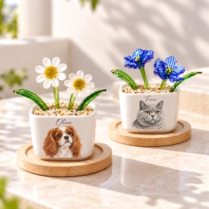 Könnte beinhalten: Zwei quadratische weiße Keramikpflanzgefäße auf Holzuntersetzern. Eines zeigt einen Cavalier King Charles Spaniel und den Namen Olive mit zwei weißen Glasgänseblümchen. Das andere zeigt eine graue Katze und den Namen Finn mit zwei blauen Glasblumen.