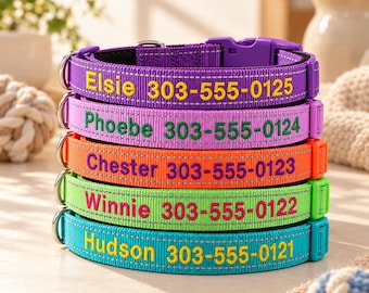 Custom Reflective Dog Collar with Leash, Personalized Name and Phone Number, Embroidered Nylon Pet Collar, Quick Release Buckle