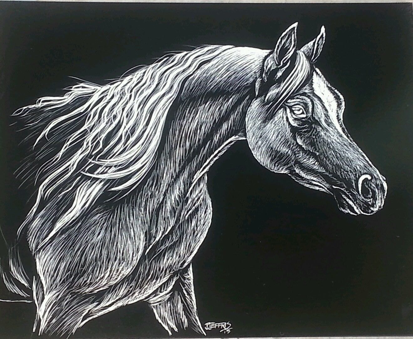 Arabain Horse Scratchboard Drawing Etsy