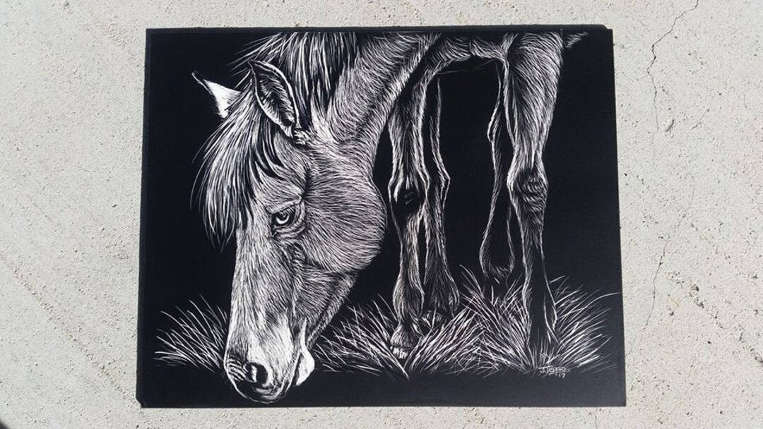 Original Scratchboard Horse Grazing Etsy