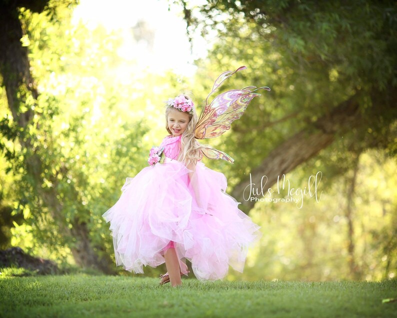 Pink fairy dress
