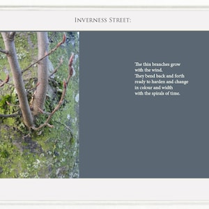 Inverness Street Book: książka o sztuce i poezji o naturze (e-book, materiały do druku, pobieranie cyfrowe, wydruki o tematyce przyrodniczej, sztuka inspirująca, wiosna)