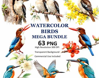 Megapaquete PNG de imágenes prediseñadas de aves en acuarela, imágenes prediseñadas de martín pescador y cucaburra, gráficos botánicos vintage para observación de aves, elementos forestales PNG