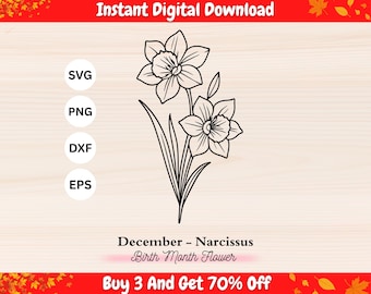 December Birth Flower SVG – Narcissus Line Art SVG, Narcissus Flower Outline, Floral Line Art Cut File, Botanical Line Art, Floral Tattoo