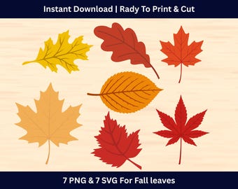 Fall Leaves SVG Bundle, Maple & Oak Leaf Clipart (digital Download) - Etsy