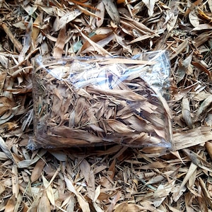 May include: A transparent plastic bag containing dried, brown bamboo leaves. The leaves vary in size and shape, with a natural, organic look. The bag sits on a bed of similar leaves, forming a textured, earthy backdrop.