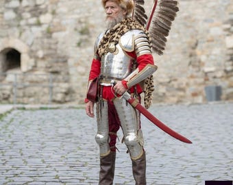 Handgefertigte Husarenrüstung aus Kohlenstoffstahl mit Messingakzenten | Gothic Kavallerie-Reenactment-Anzug