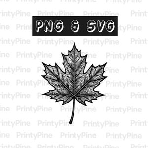 Peut inclure: Illustration en noir et blanc d'une feuille d'érable avec des détails de nervures. Au-dessus, un rectangle noir avec le texte "PNG & SVG" en blanc. Ce design numérique est adapté à divers projets créatifs.