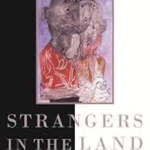 Främlingar i landet - Svarta, judar, Amerika efter Förintelsen, e-bok pdf DIREKT NEDLADDNING Engelska