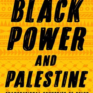Poder negro y Palestina: países transnacionales de color, libro electrónico en formato PDF, descarga instantánea (idioma inglés). imagen 3