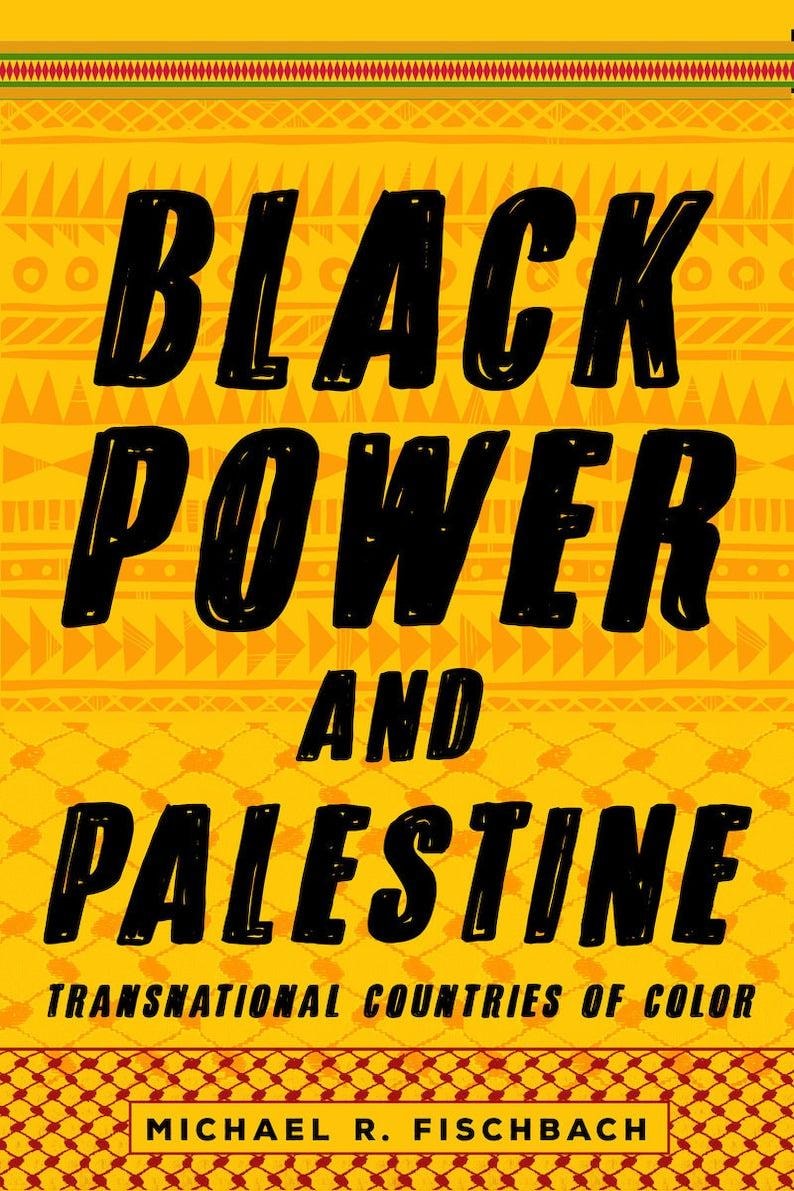 Poder negro y Palestina: países transnacionales de color, libro electrónico en formato PDF, descarga instantánea (idioma inglés). imagen 3