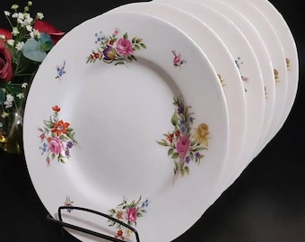 Set of 6x Royal Worcester Dinner Plates Fine bone china Vintage