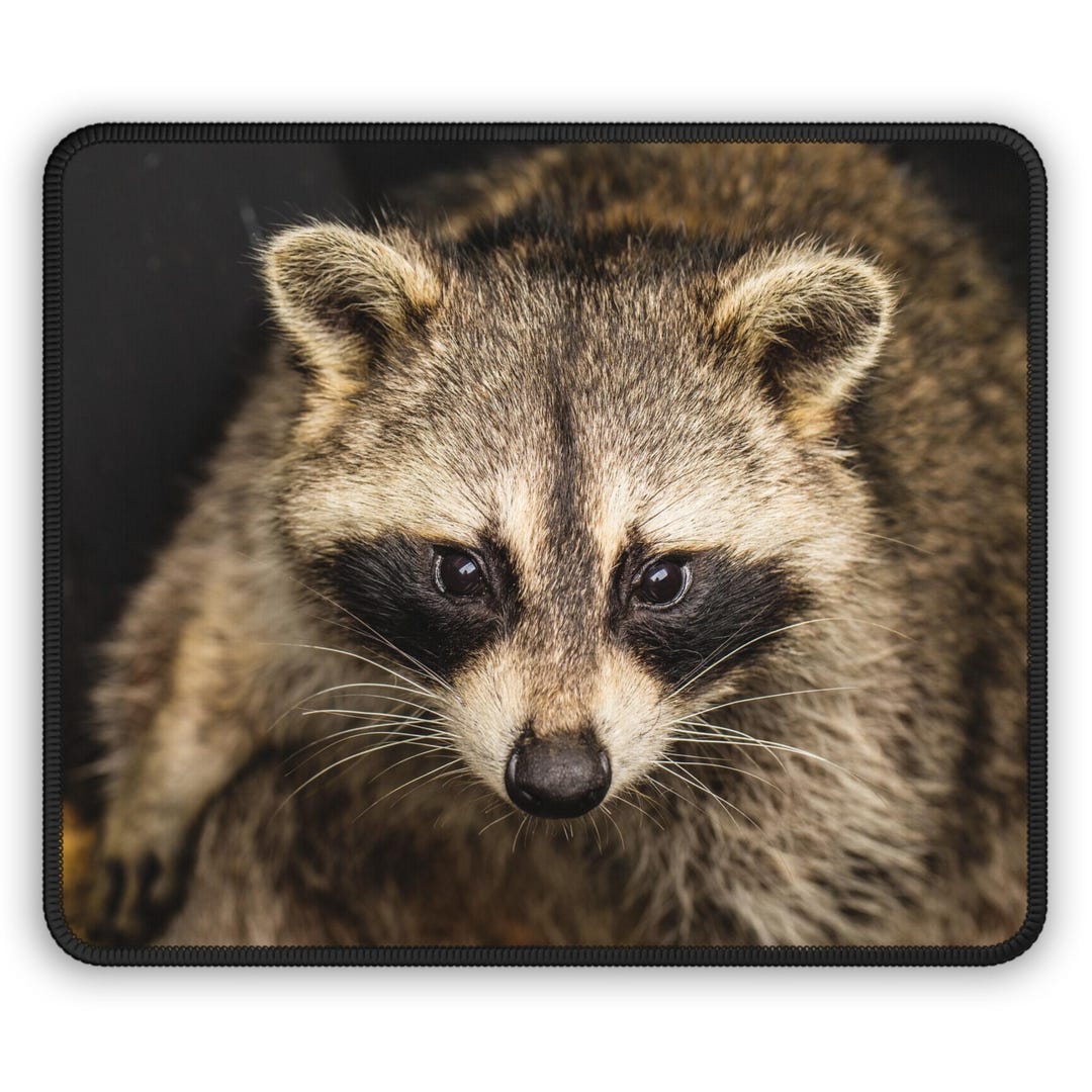 Realistic Raccoon Portrait Gaming Mouse Pad | Wildlife Desk Mat - Etsy