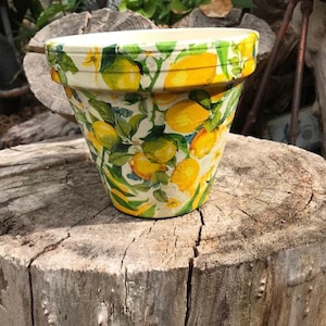 Large Handcrafted 155mm Diameter "Lemon" Design terracotta pot