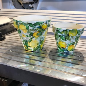 May include: Two tapered plant pots of different sizes, both featuring a vibrant botanical pattern of yellow lemons, green leaves, and white blossoms against a white background. The pots have a smooth, glossy finish and a wide, circular rim.