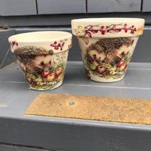 May include: Two cream-coloured ceramic plant pots of different sizes, each featuring a detailed illustration of a brown hedgehog surrounded by red berries and green foliage. The pots have a tapered shape with a wide rim and a smooth finish.