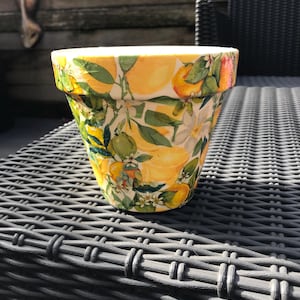 May include: A tapered plant pot featuring a vibrant botanical pattern of yellow lemons, green leaves, and white blossoms against a cream-coloured background. The design wraps around the exterior of the pot, which has a wide, flat rim at the top.