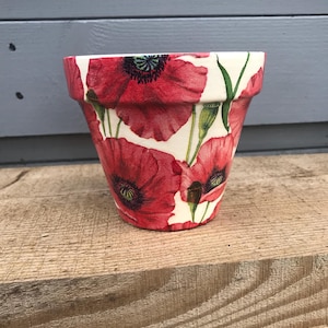May include: A tapered terracotta plant pot featuring a white base decorated with a vibrant pattern of red poppy flowers, green stems, and dark centres. The design wraps around the exterior of the pot, showcasing multiple blooming flowers.