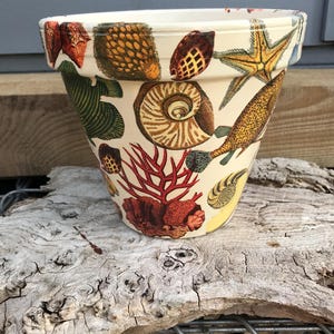 May include: A cream-coloured terracotta plant pot decorated with a detailed marine-themed print featuring various seashells, a yellow starfish, red coral, and a spotted fish. The design covers the exterior surface and the inner rim of the pot.