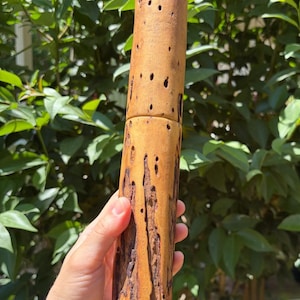 May include: A cylindrical wooden case with a natural light brown finish, featuring a smooth upper section and a textured, rugged lower section with deep vertical grooves and dark brown markings, showing a clear horizontal seam between the two parts.