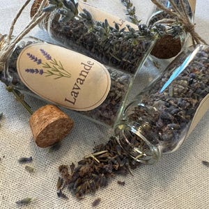 Peut inclure: Plusieurs petits flacons en verre remplis de fleurs de lavande séchées et de brins. Chaque flacon est scellé avec un bouchon de liège et attaché avec de la ficelle. Un flacon a renversé son contenu sur une surface claire et texturée. Les flacons portent l'inscription "Lavande".