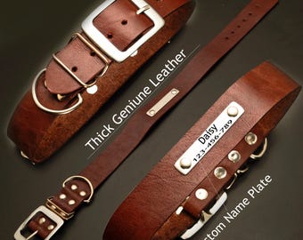 May include: Brown leather dog collar with a silver buckle and a custom name plate. The collar is thick and features the text "Thick Geniune Leather" and "Custom Name Plate". The name plate has the name "Daisy" and a phone number.