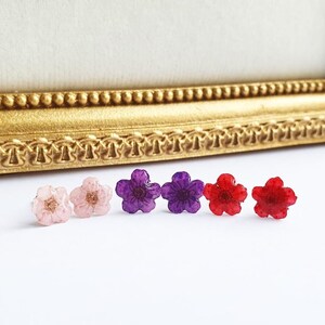 May include: A selection of flower-shaped stud earrings in shades of pink, purple, and red. The earrings are displayed on a white surface, with a gold-coloured framed object in the background. Each earring is a small, delicate flower.