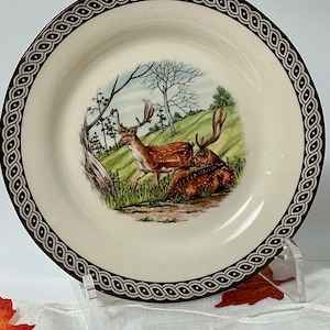 May include: A round ceramic plate featuring a central illustration of two brown spotted deer in a grassy landscape with trees. The rim is decorated with a dark brown and white geometric chain-link pattern against a cream-coloured background.