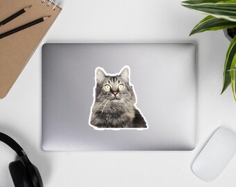 Tabby Cat Face Sticker