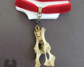Animal Bone Choker