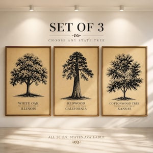 May include: Set of three framed prints featuring detailed black and white illustrations of trees. Each print displays a different tree: White Oak, Redwood, and Cottonwood Tree, with the state name below. The text reads "SET OF 3" and "CHOOSE ANY STATE TREE".
