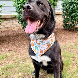 May include: A black dog with a white chest patch wearing a white triangular bandana featuring a repeating pattern of brown bears, green pine trees, blue mugs, orange tents, and marshmallows on sticks. The dog has its mouth open with its tongue out.