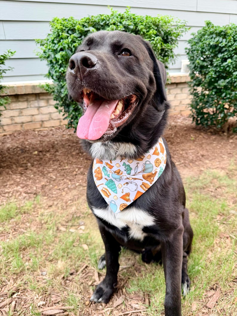 May include: A black dog with a white chest patch wearing a white triangular bandana featuring a repeating pattern of brown bears, green pine trees, blue mugs, orange tents, and marshmallows on sticks. The dog has its mouth open with its tongue out.