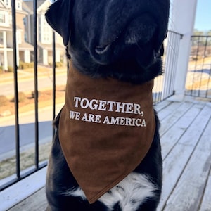 May include: A black dog wearing a brown bandana with the text "TOGETHER, WE ARE AMERICA" in white. The dog is sitting on a wooden deck, looking upwards. The background includes a house and a clear blue sky.