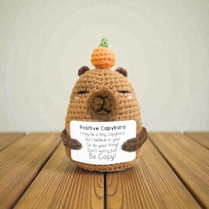May include: A crocheted capybara figurine in shades of brown, holding a sign with the text "Positive Capybara." The capybara has a small orange pumpkin on its head. The sign reads "I may be a tiny capybara, but I believe in you! Go do your thing! Don't worry, just Be Capy!"