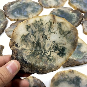 May include: A selection of polished moss agate slices. The agate displays a mix of white, brown, and green hues, with detailed patterns reminiscent of moss. The slices vary in size and shape, highlighting natural stone variations.