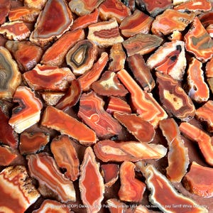 May include: A collection of polished agate slices in various shades of orange, red, and white. Each piece displays unique concentric banding and translucent crystalline structures, arranged closely together to form a dense, textured mosaic pattern.