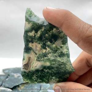 May include: A translucent moss agate slab featuring intricate dark green dendritic inclusions and creamy white mineral patterns. The stone has an irregular, jagged top edge and a smooth, flat surface, showcasing natural organic formations.
