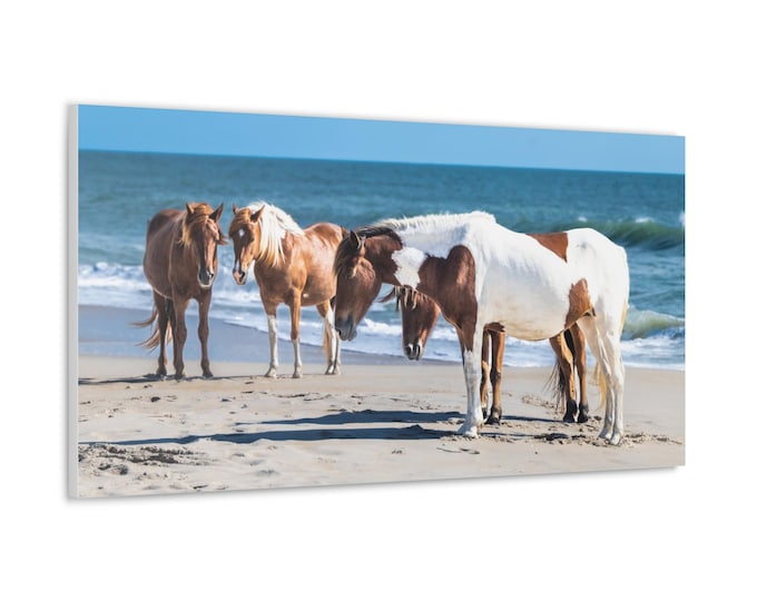 Featured listing image: Misty's Majesty - Assateague Wild Ponies on Beach Canvas | Photography Wall Art