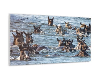 Pony Canvas - Photography Wall Art Commemorating the 100th Annual Chincoteague Pony Swim