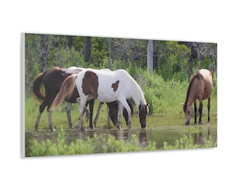 Pony Canvas - Assateague Island Wild Ponies in Salt Marsh Canvas | Photography Wall Art