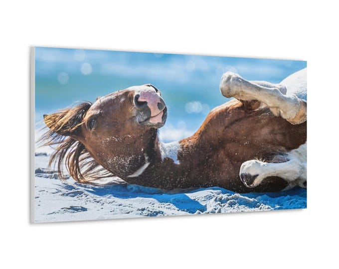 Featured listing image: Misty's Majesty - Assateague Wild Pony on Beach Canvas | Photography Wall Art