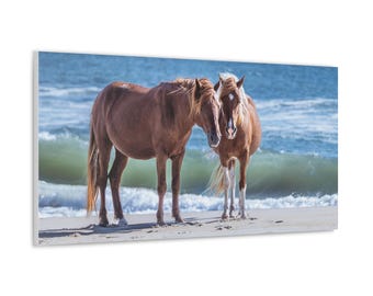 Misty's Majesty - Assateague Wild Ponies on Beach Canvas | Photography Wall Art