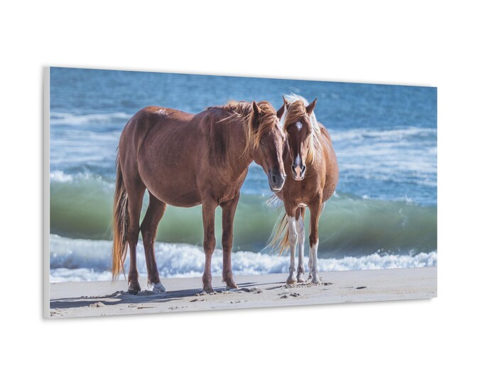 Featured listing image: Misty's Majesty - Assateague Wild Ponies on Beach Canvas | Photography Wall Art