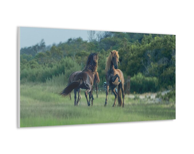 Featured listing image: Misty's Majesty - Assateague Wild Stallions | Photography Wall Art